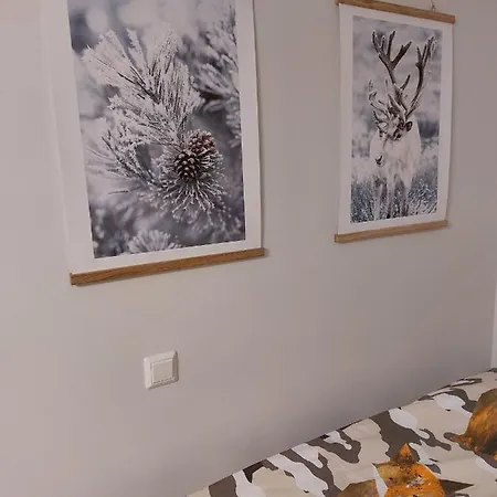 北欧之家公寓 罗瓦涅米