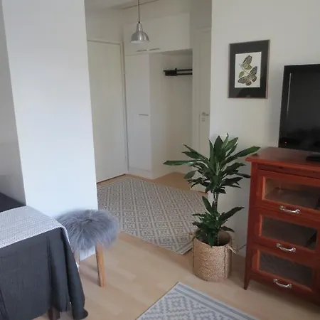 Nordic Home, With Private Sauna, Free Parking Rovaniemi