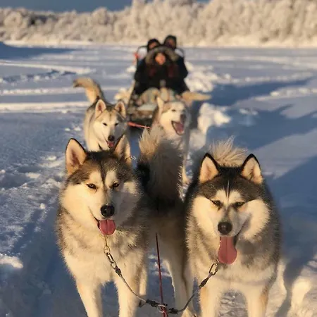 Nordic Home, With Private Sauna, Free Parking *